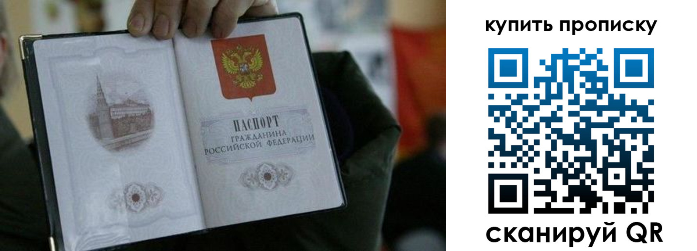 временная регистрация поиск в Каргополе